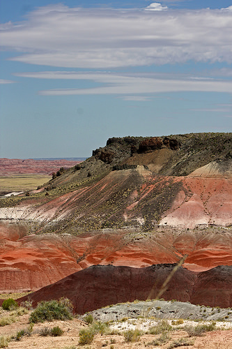 Painted Desert (from this